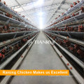 Tianrui Design Steel Galvanized H Type Automatic Chicken Egg Laying Cage